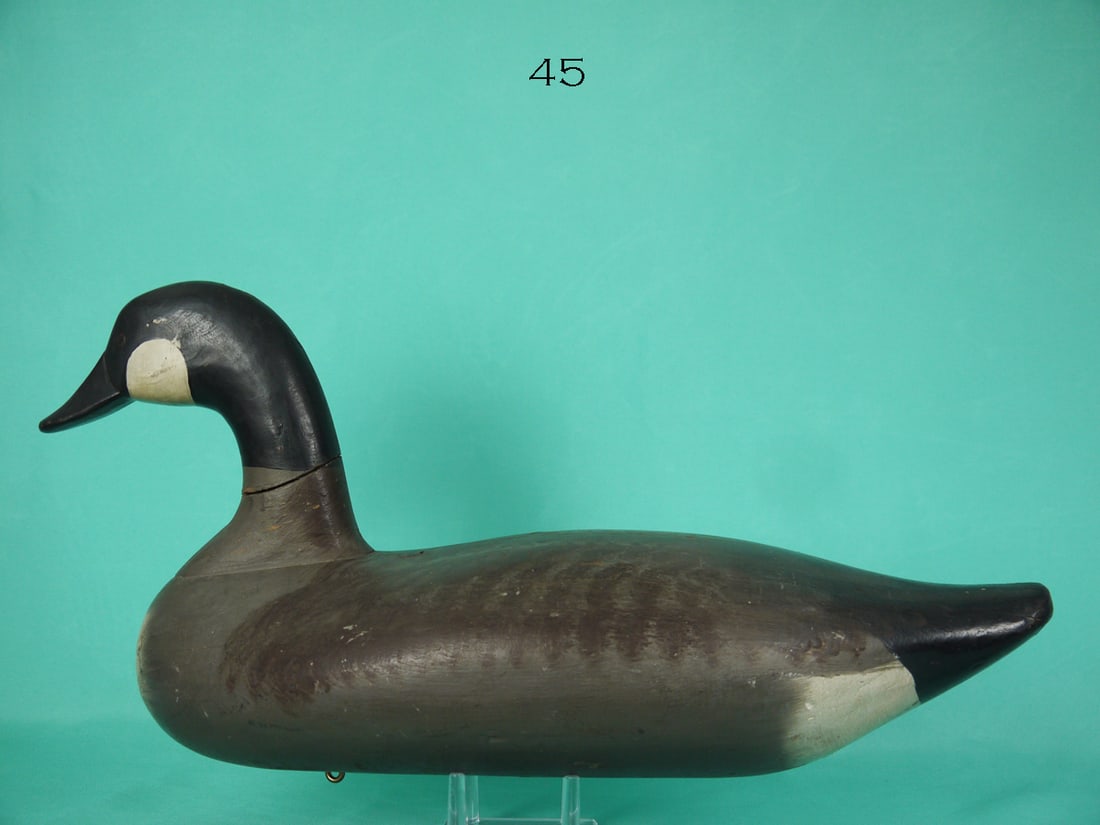 CANADA GOOSE, P. GIBSON (1 of 4)