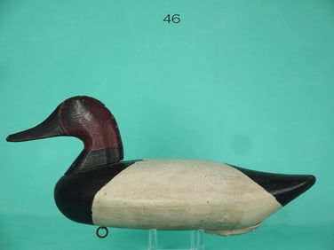 CANVASBACK DRAKE, J. GLENN
