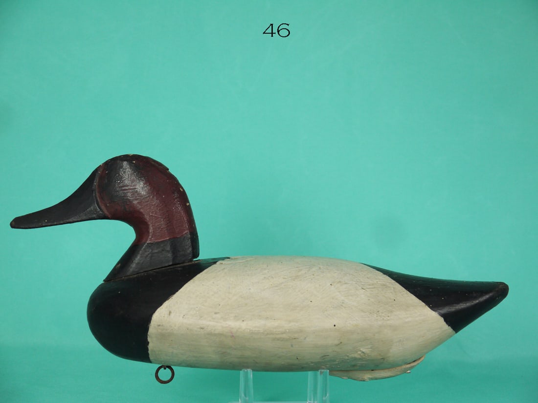 CANVASBACK DRAKE, J. GLENN (1 of 4)
