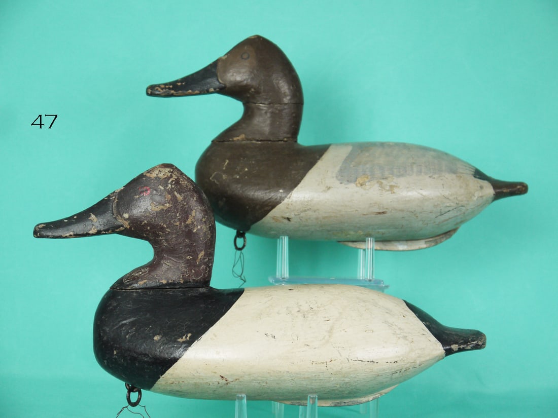CANVASBACK PAIR, W. HEVERIN (1 of 4)