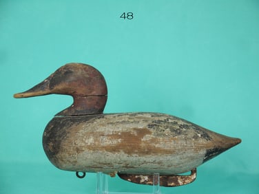 EARLY CANVASBACK DRAKE, J. "DADDY" HOLLY