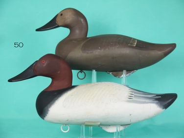 CANVASBACK PAIR, H. JOBES