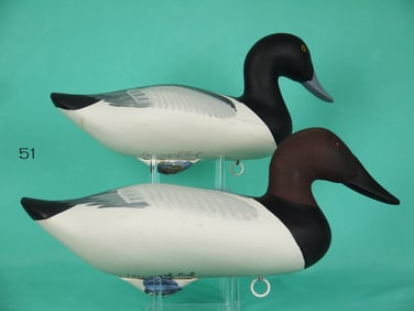 CANVASBACK DRAKE/BLUEBILL DRAKE, J. JOBES
