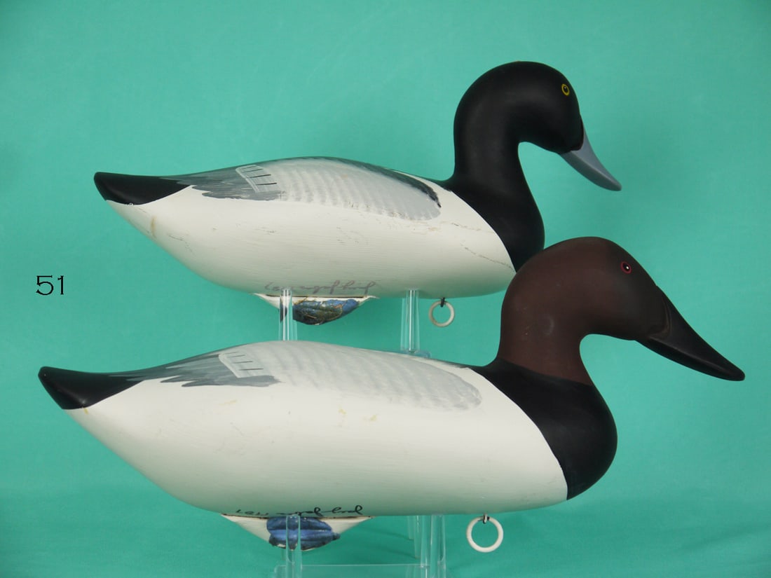 CANVASBACK DRAKE/BLUEBILL DRAKE, J. JOBES (1 of 4)