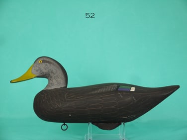 BLACK DUCK, H. JOBES