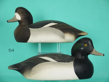 BROADBILL PAIR, B. JOINER