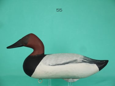 CANVASBACK DRAKE, J. EVANS MCKINNEY