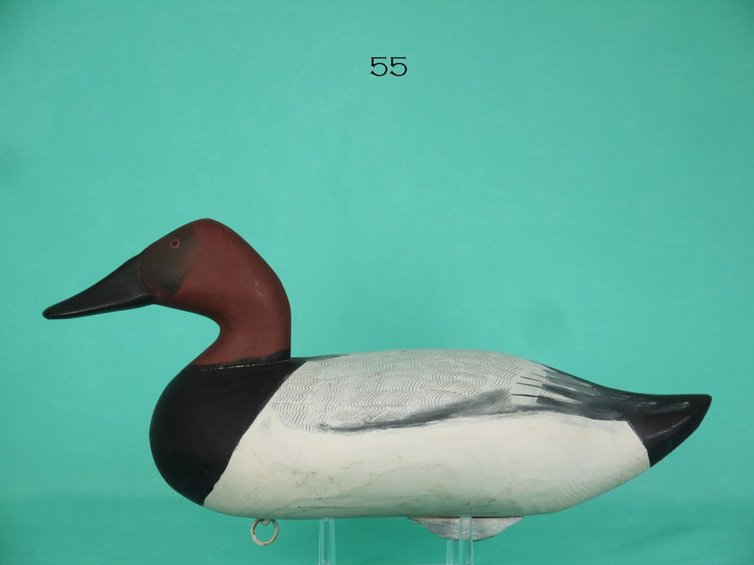 CANVASBACK DRAKE, J. EVANS MCKINNEY (1 of 4)