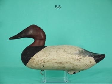 CANVASBACK DRAKE, R.M. MITCHELL