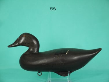 BLACK DUCK, R.M. MITCHELL