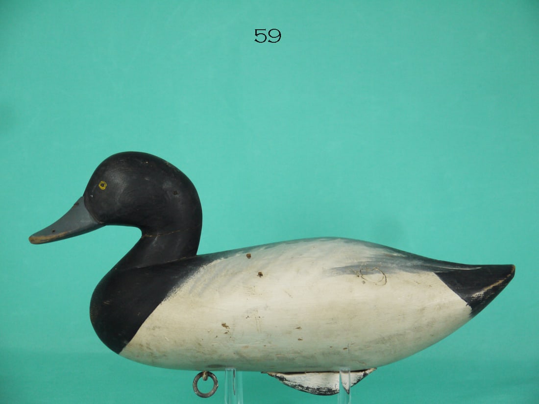 BLUEBILL DRAKE, R.M. MITCHELL (1 of 4)