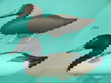 BROADBILL PAIR, J. PIERCE