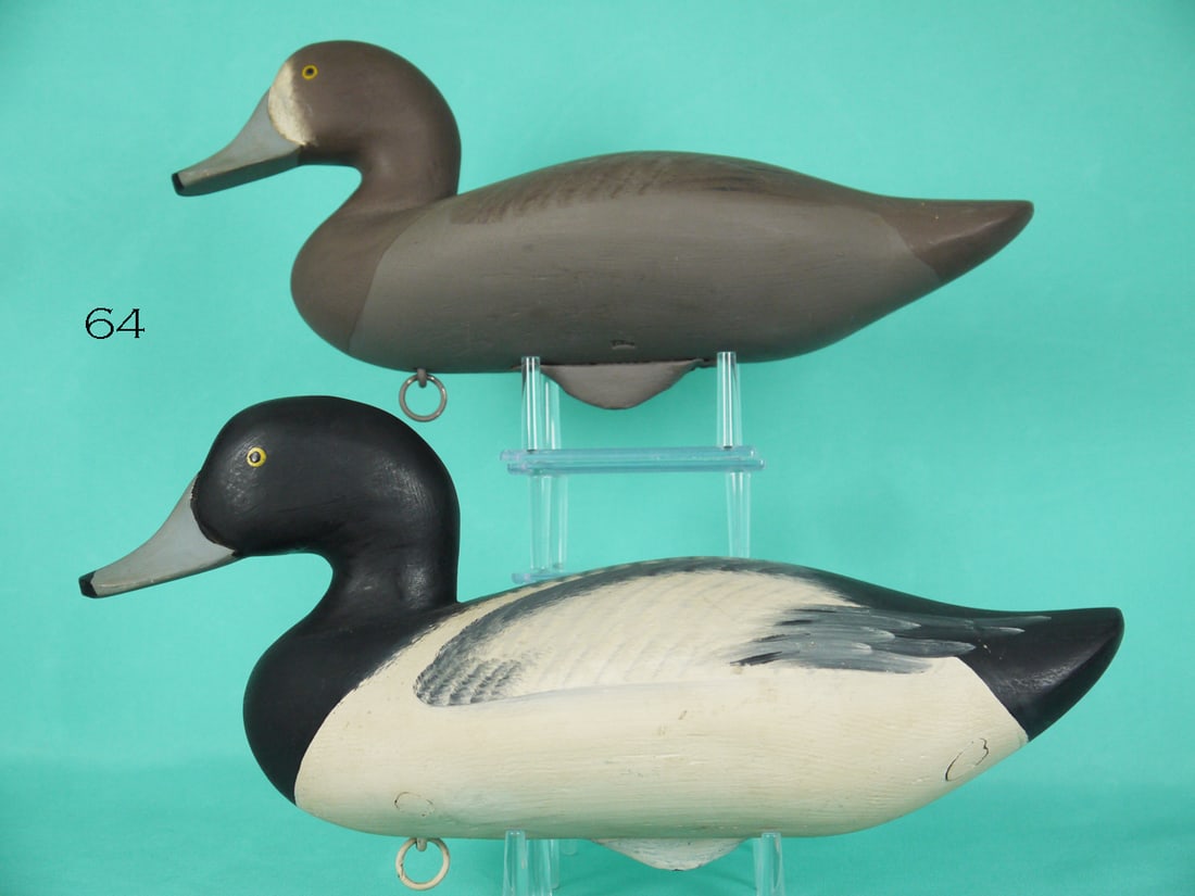 BROADBILL PAIR, J. PIERCE (1 of 4)