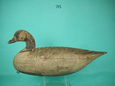 CANADA GOOSE, I. HUDSON