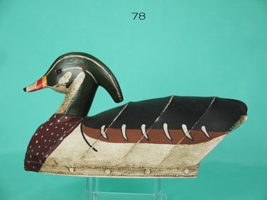 WOOD DUCK DRAKE, W. MOSELEY