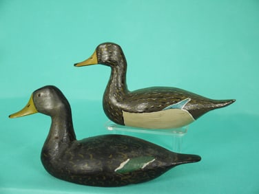 ONE-THIRD SIZE MALLARD HEN/BLACK DUCK