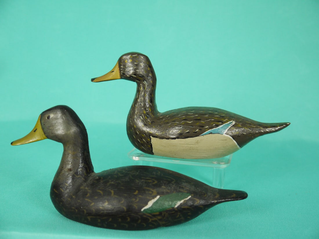 ONE-THIRD SIZE MALLARD HEN/BLACK DUCK (1 of 4)