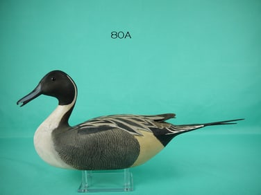 PINTAIL DRAKE, J. JAMES, JR.