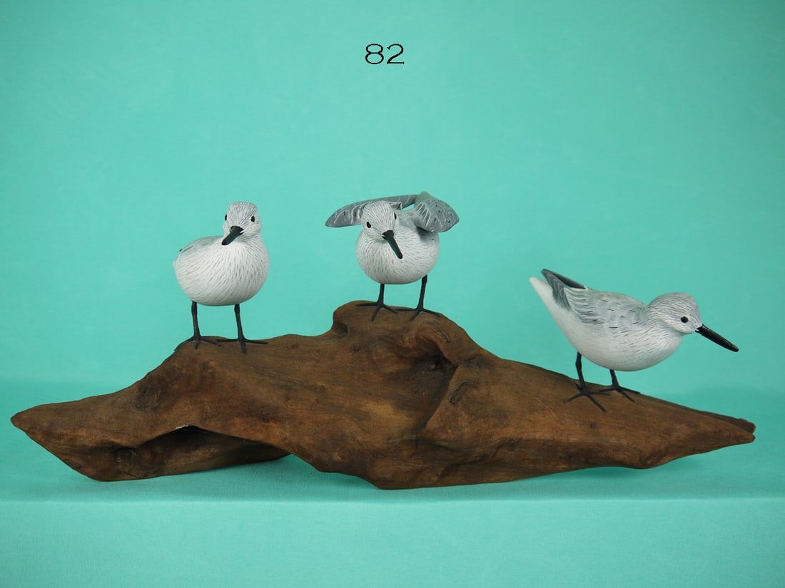 THREE SANDERLINGS, J. AND P. WATERFIELD (1 of 2)