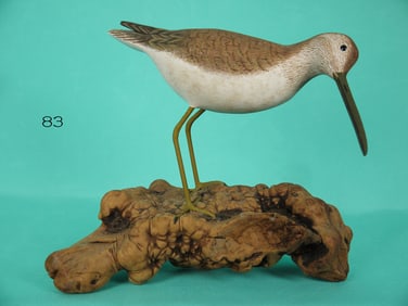 DOWITCHER, J. AND P. WATERFIELD