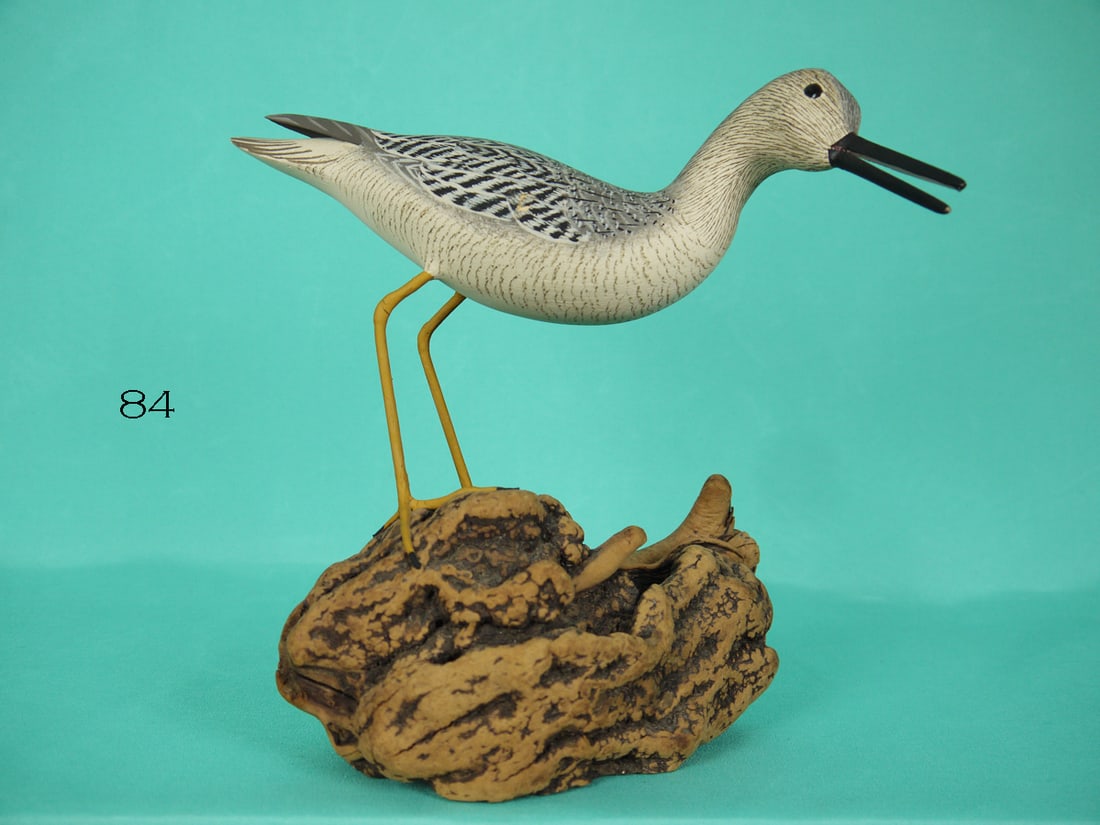 CALLING YELLOWLEGS, J. AND P. WATERFIELD (1 of 2)