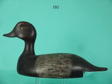 REDHEAD DRAKE, ALEXANDRIA BAY