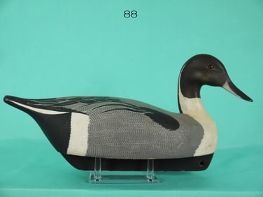 PINTAIL DRAKE, K. HARRIS