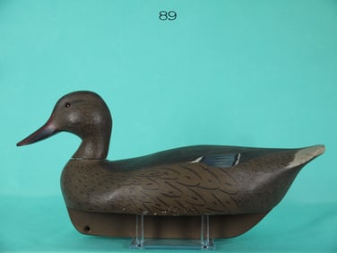 MALLARD HEN, K. HARRIS