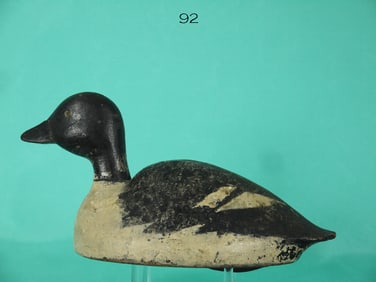 GOLDENEYE HEN, NEW YORK