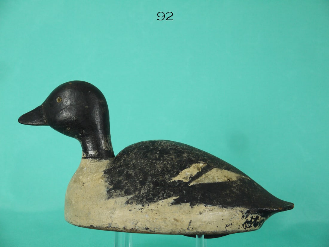 GOLDENEYE HEN, NEW YORK (1 of 4)