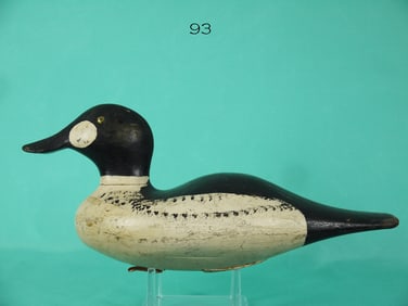 GOLDENEYE DRAKE, NEW YORK