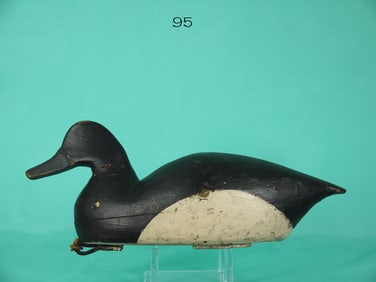 BLUEBILL DRAKE, R.S. BRADY ATTRIB.