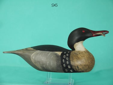 RED-BREASTED MERGANSER, M. COLLINS