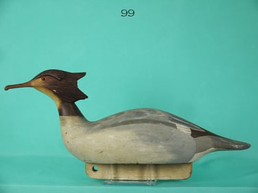 RED-BREASTED MERGANSER HEN, V. GIANNETTO