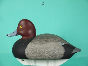 REDHEAD DRAKE, C. MARTER, JR.