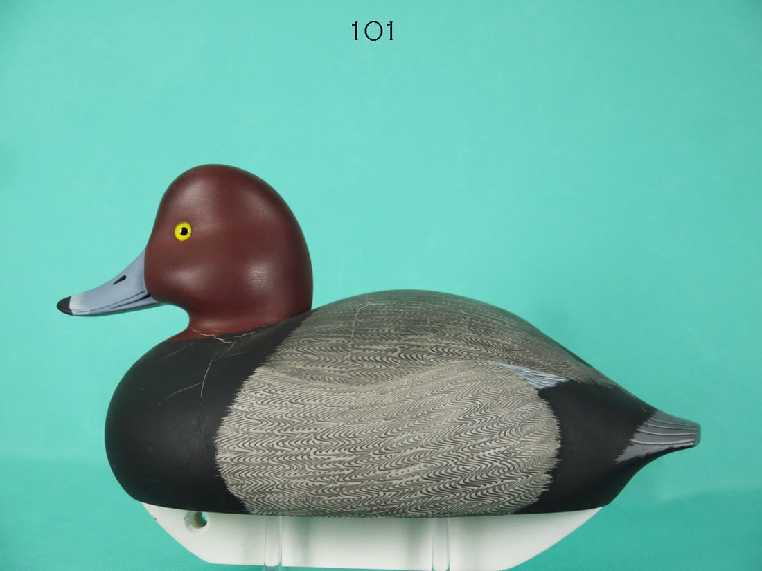 REDHEAD DRAKE, C. MARTER, JR. (1 of 4)