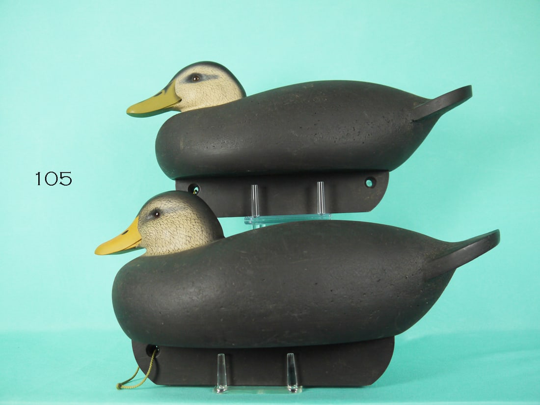 BLACK DUCK PAIR, C.R. MARTER, JR. (1 of 4)