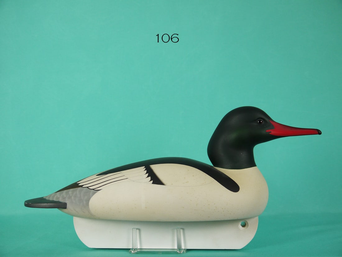 COMMON MERGANSER DRAKE, C.R. MARTER, JR. (1 of 4)