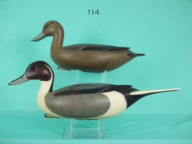 PINTAIL PAIR, F.C. BROWN, JR.