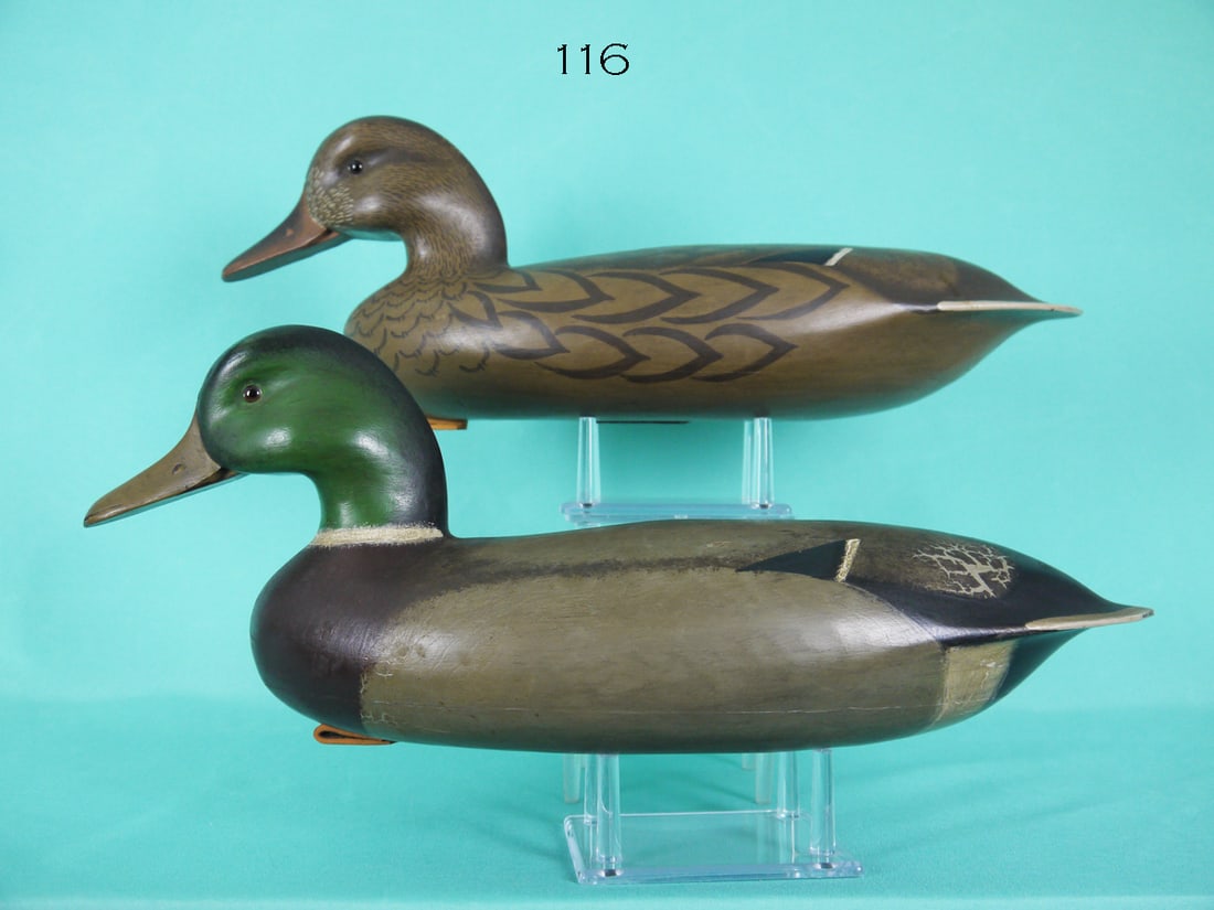 MALLARD PAIR, J. HOLLOWAY (1 of 4)