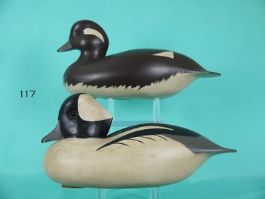 BUFFLEHEAD PAIR, J. HOLLOWAY