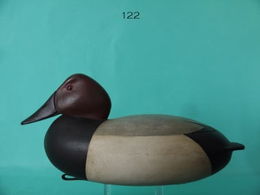 CANVASBACK DRAKE, S. MOREY
