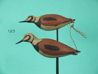 TWO RUDDY TURNSTONES, S. MOREY