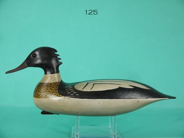 RED-BREASTED MERGANSER DRAKE, NEW JERSEY