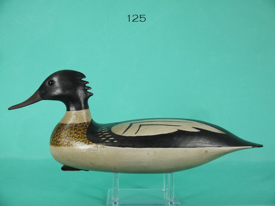 RED-BREASTED MERGANSER DRAKE, NEW JERSEY (1 of 4)