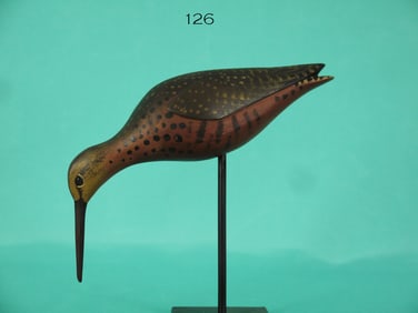 SHORT-BILLED DOWITCHER, D. RHODES