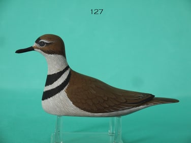 KILLDEER, D. RHODES