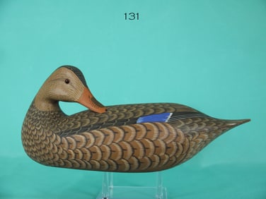 MALLARD HEN, H. SHOURDS