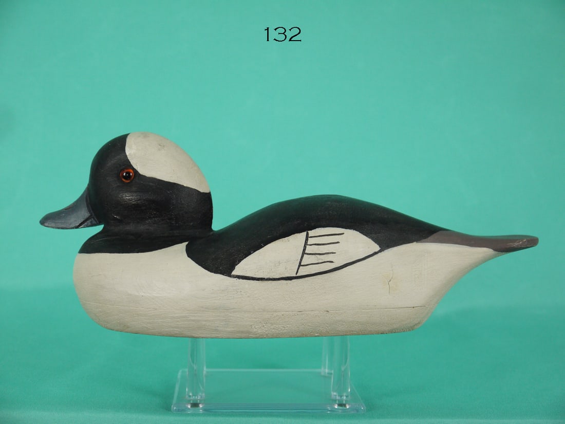 BUFFLEHEAD DRAKE, C. WILBER (1 of 4)