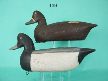 BLUEBILL DRAKE AND HEN, R. CORLISS